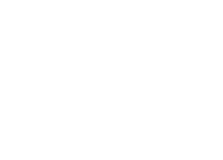 iInformatica